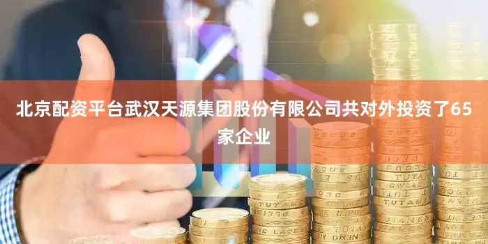 北京配资平台武汉天源集团股份有限公司共对外投资了65家企业