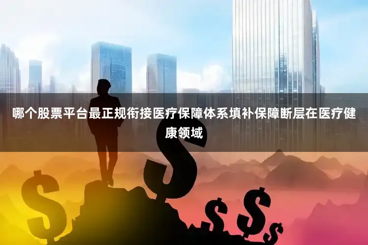 哪个股票平台最正规衔接医疗保障体系填补保障断层在医疗健康领域