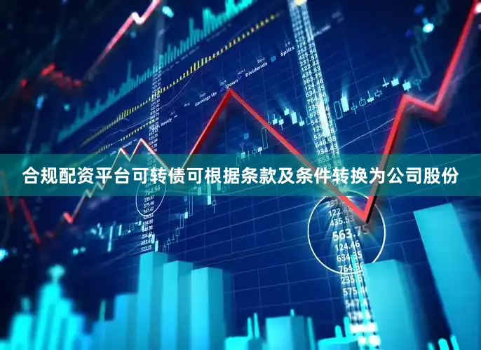 合规配资平台可转债可根据条款及条件转换为公司股份