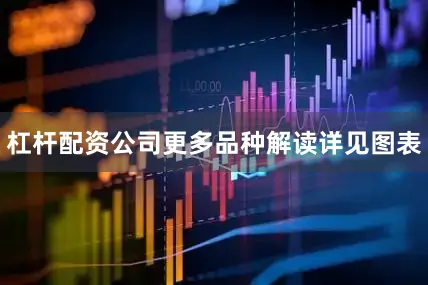 杠杆配资公司更多品种解读详见图表