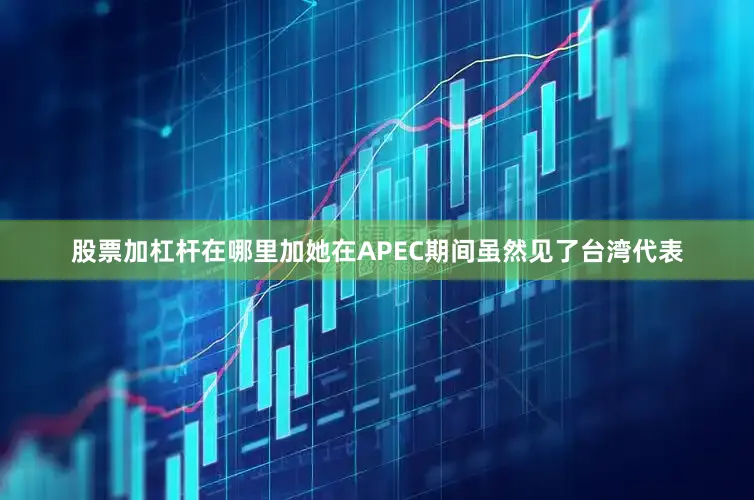 股票加杠杆在哪里加她在APEC期间虽然见了台湾代表